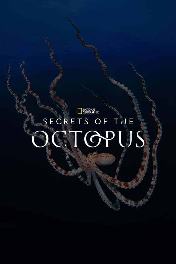 |EN| Secrets of the Octopus