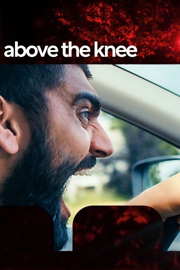Above the Knee poster
