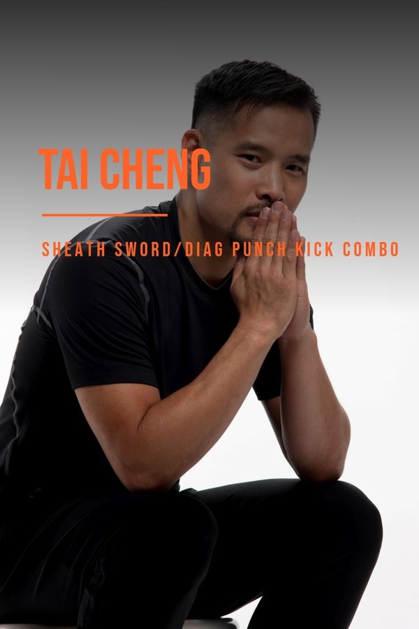 Tai Cheng – Sheathing Sword and Diagonal Punch Kick Combo