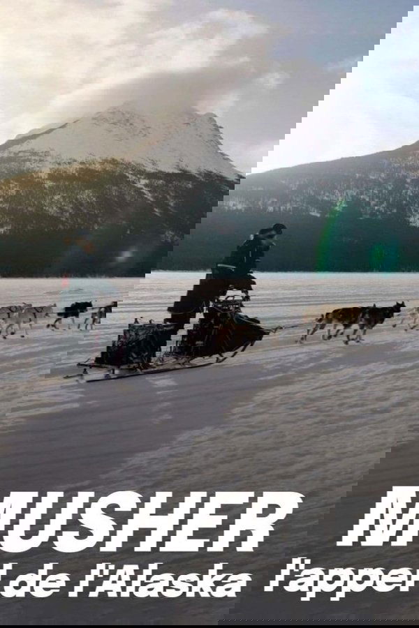 Musher, l'appel de l'Alaska poster