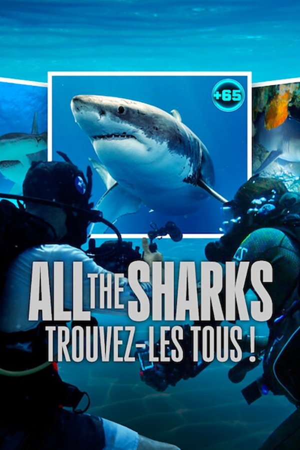FR - All the Sharks : Trouvez-les tous ! (2025) (US)