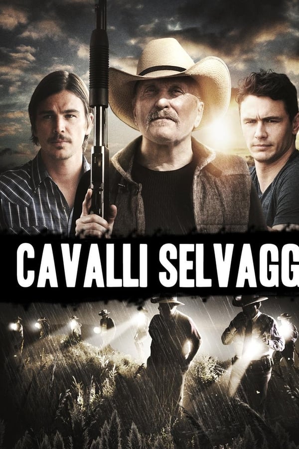 Cavalli selvaggi