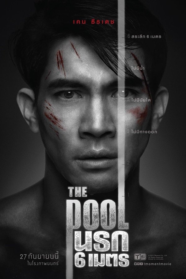 Baixar A Piscina (2019) Torrent Dublado Baixar A Piscina (2019) Torrent Dublado via Torrent