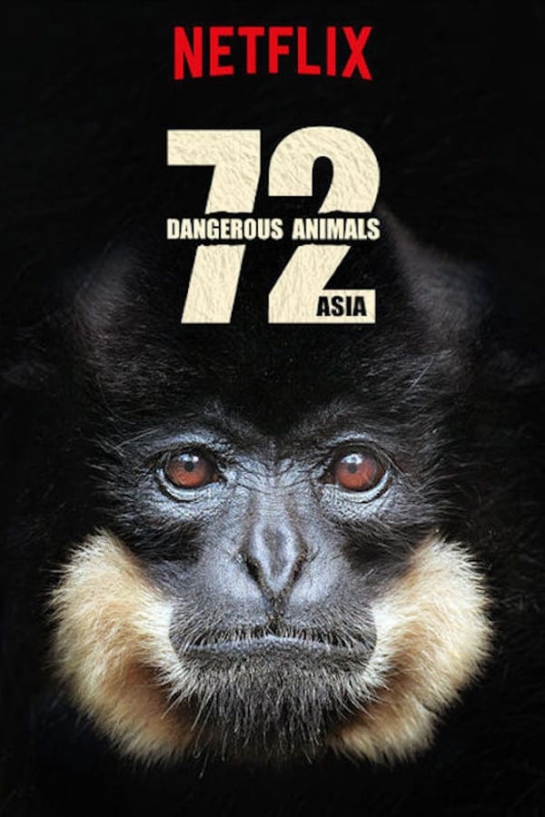 72 Animais Perigosos: Ásia