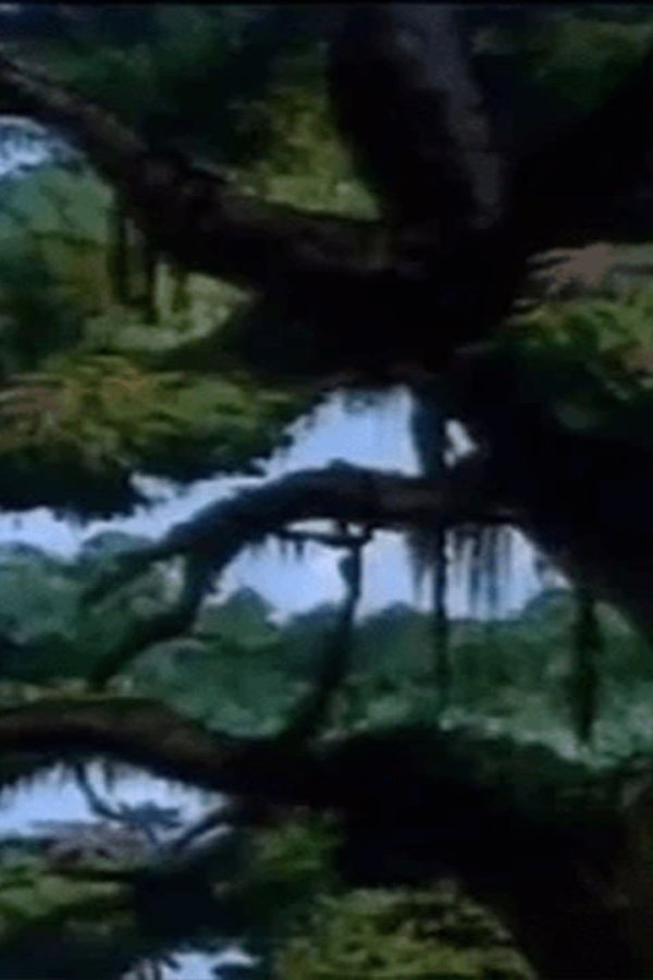 Tarzan il signore della jungla – S01E16 – Episodio 16