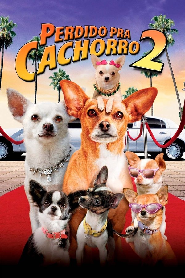 Perdido pra Cachorro 2 (2011)
