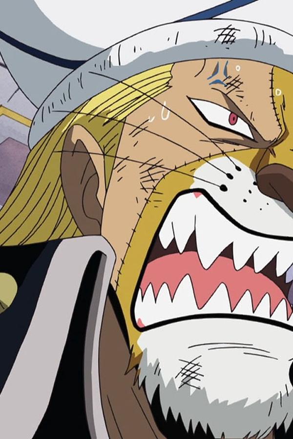 One Piece: All’arrembaggio! – S10E366 – Amiche per la pelle