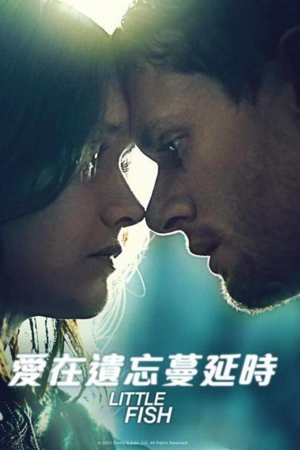 小鱼