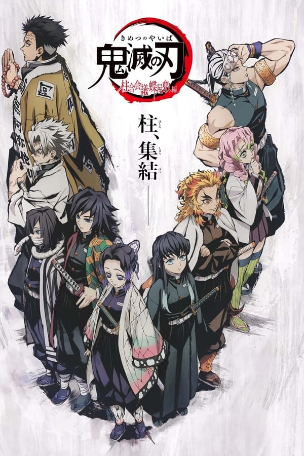 Demon Slayer: Kimetsu no Yaiba: The Hashira Meeting Arc