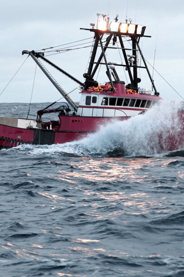 Pesca Mortal - Inferno no Mar