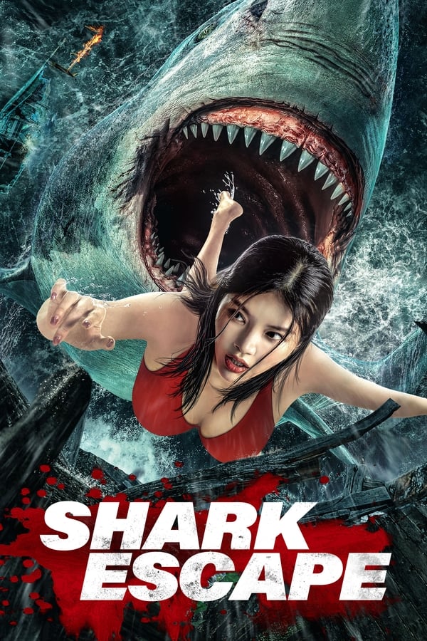 NL - Escape of Shark (2021)