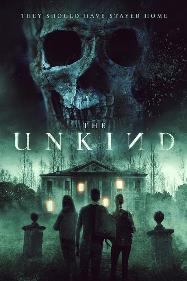 In 2008, six friends from NY decide to vacation together in Italy, they think they are in for a smooth and easy two weeks full of beers, partying, and fun. Their vacation soon turns sinister when strange thing starts to happen and more than that when they learn of the mansions devastating history and realize that there is more to the house than anyone could have expected. After accidentally they find a book that take them to a sealed grave, they unleash an ancient witch, A STRIGE, an unnamed and unstoppable demoniac force thirsty of blood. The group goes out of control the mansion and the forest surrounding with no success, the witch claim them to certain death, one after the other. Ashley, the more empathetic of the group, wakes up with a start on her apartment in NY city, she is shocked, flight tickets for Italy on the table in front of her and his boyfriend Nick is taking a shower......was it only a dream?...or perhaps a premonition?