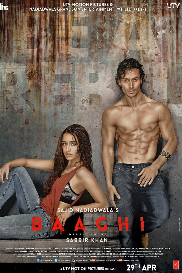 IN: Baaghi (2016)