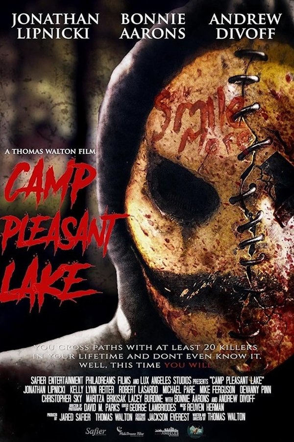 Camp Pleasant Lake Poster