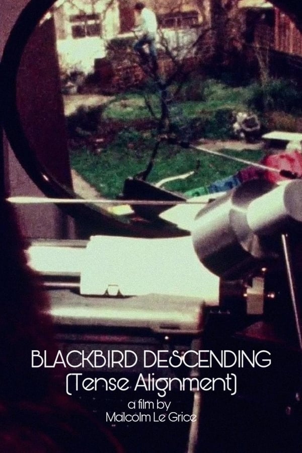 Blackbird Descending – Tense Alignment