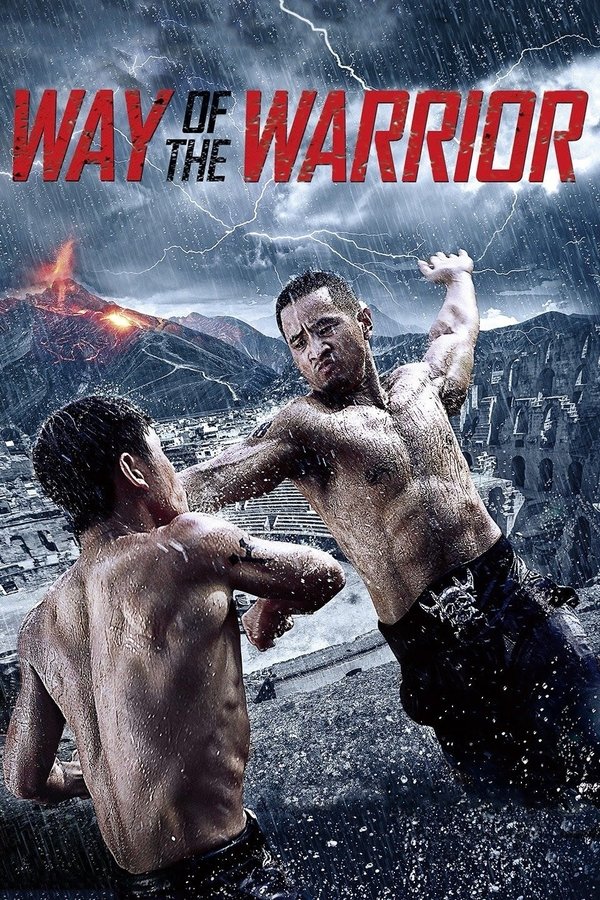 DE - Way of the Warrior (2013)