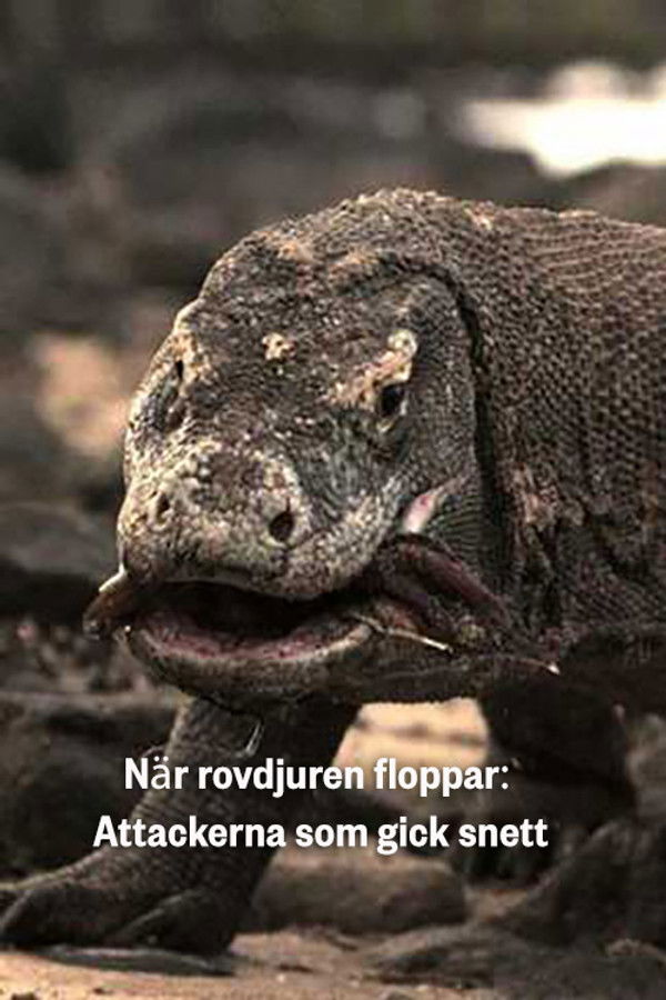 Predator Fail: When Prey Attacks