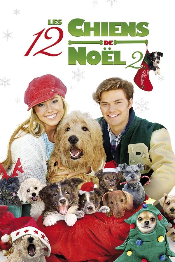 Les 12 chiens de Noël 2