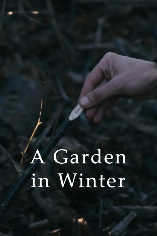 Jardin en hiver