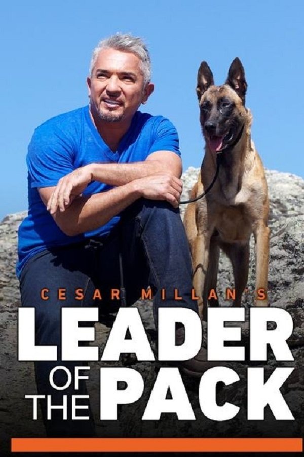 Cesar Millan’s Leader of the Pack Cesar Millan’s Leader of the Pack