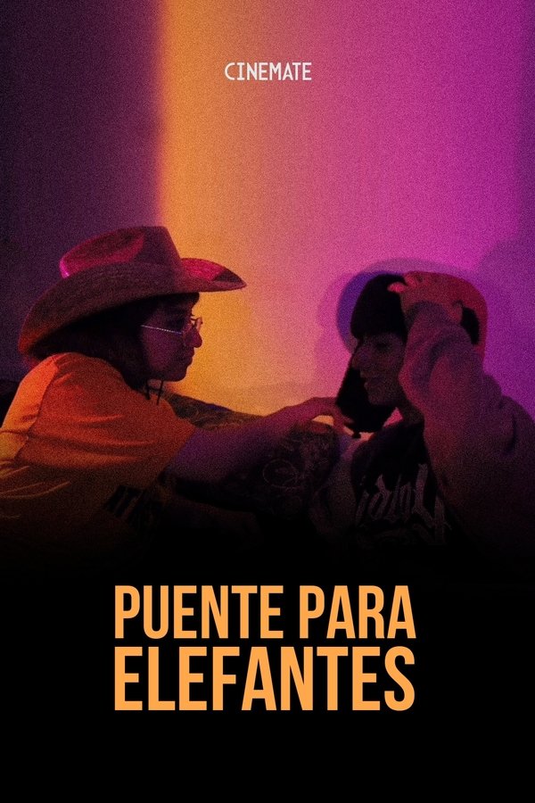 Puente Para Elefantes poster