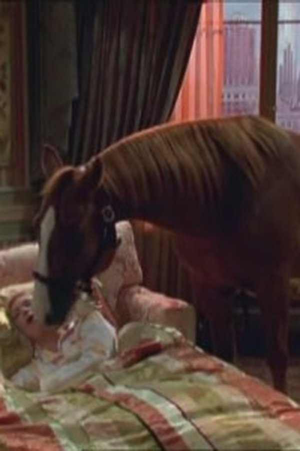 Zack e Cody al Grand Hotel – S02E05 – Episodio 5