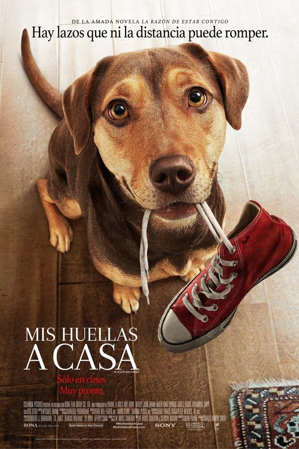 Imagen Mis Huellas a Casa