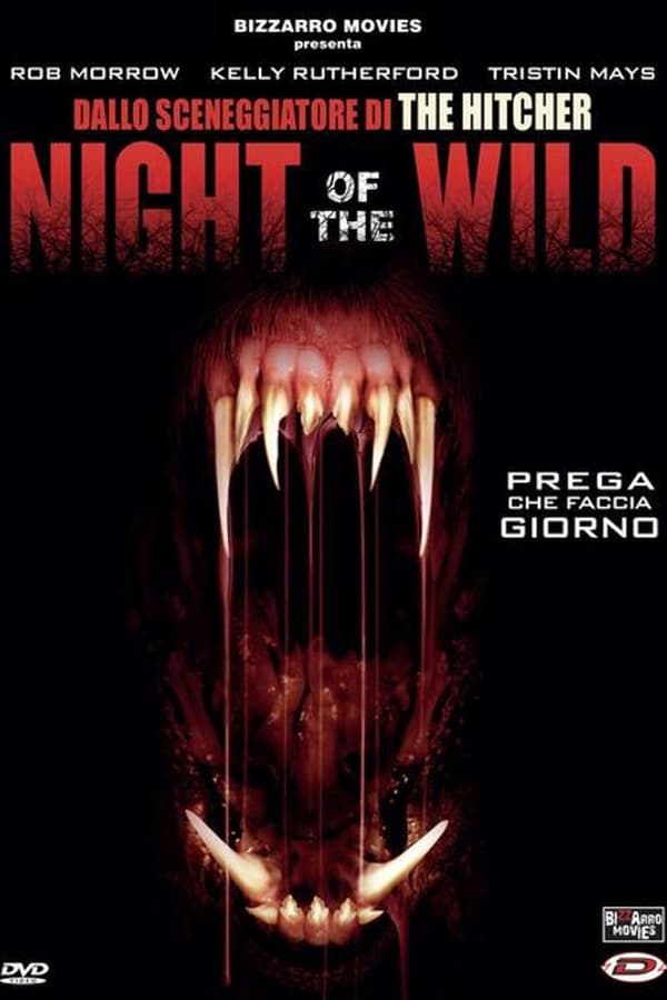 Night of the Wild