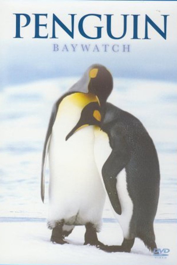 Penguin Baywatch Antarctica poster