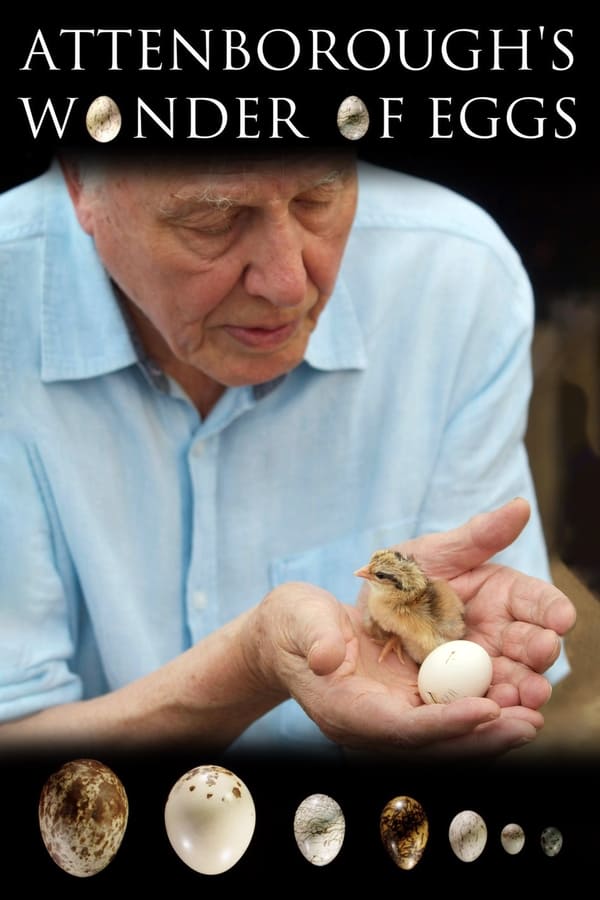 Attenborough’s Wonder of Eggs