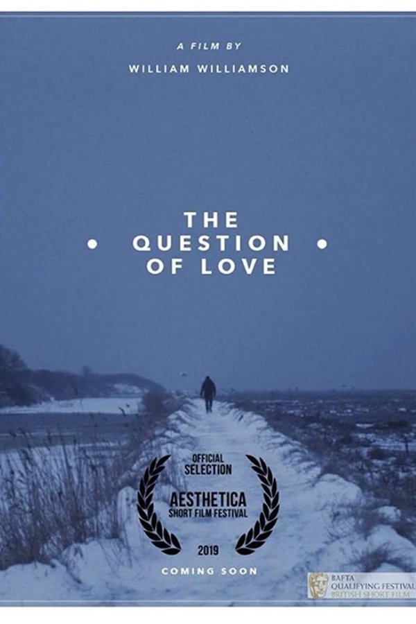 The Question of Love poster