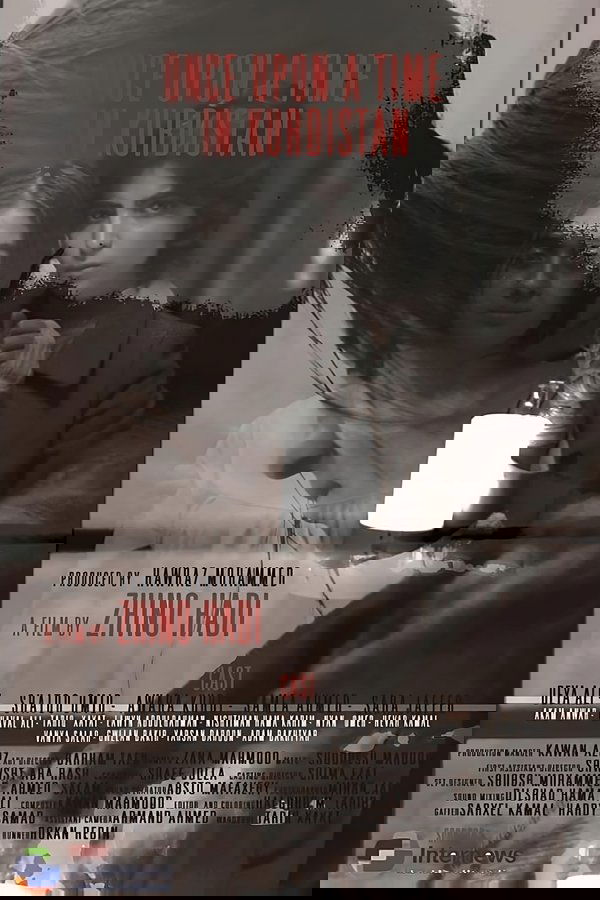 Once Upon a Time in Kurdistan poster