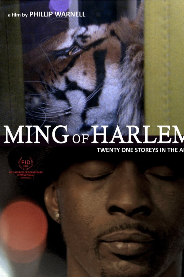 Ming of Harlem: Twenty One Storeys in the Air (2014)