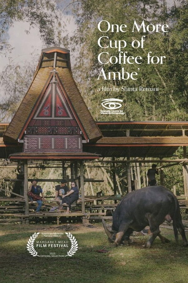 One More Cup of Coffee for Ambe’