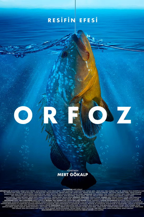 Orfoz: Resifin Efesi (2021)
