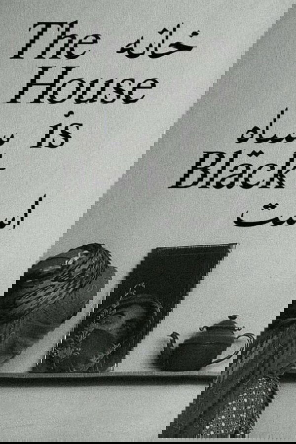 The House Is Black