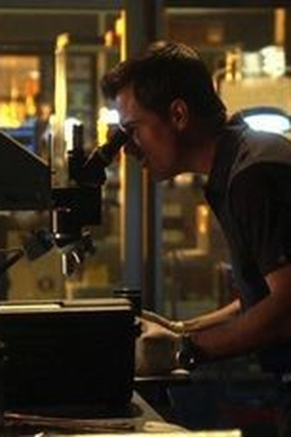 CSI: Scena del crimine – S04E21 – Giro di vite