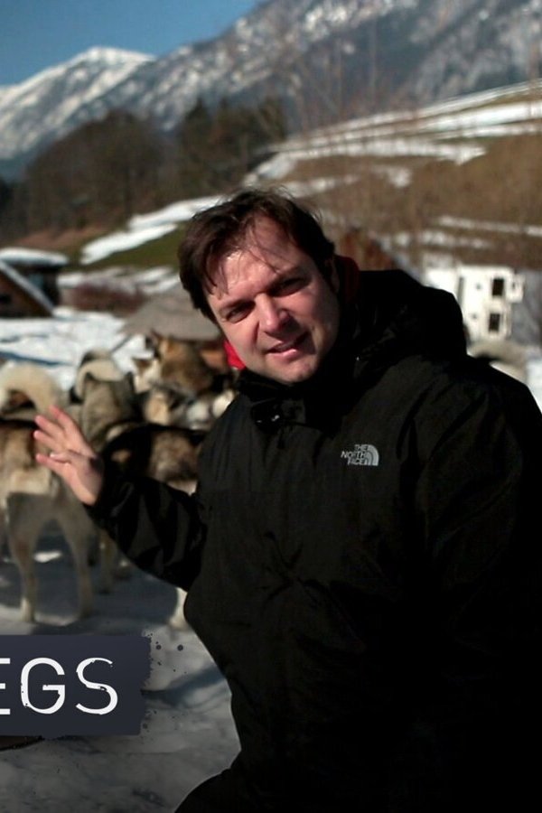 Der Hundeprofi unterwegs poster