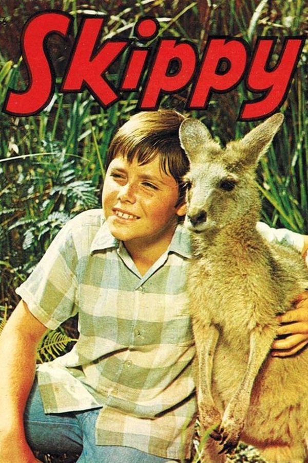 Skippy, das Buschkänguruh