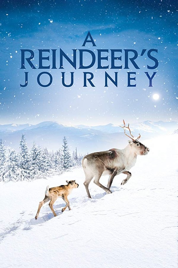 Ailo’s Journey narrates the struggle of a little wild reindeer to survive its first migration. Throughout his journey, the frail and vulnerable wild reindeer will have to overcome the ordeals that mark the first year of his existence. His awakening to the wild world is a true Christmas tale in the heart of the stunning landscapes of Lapland.