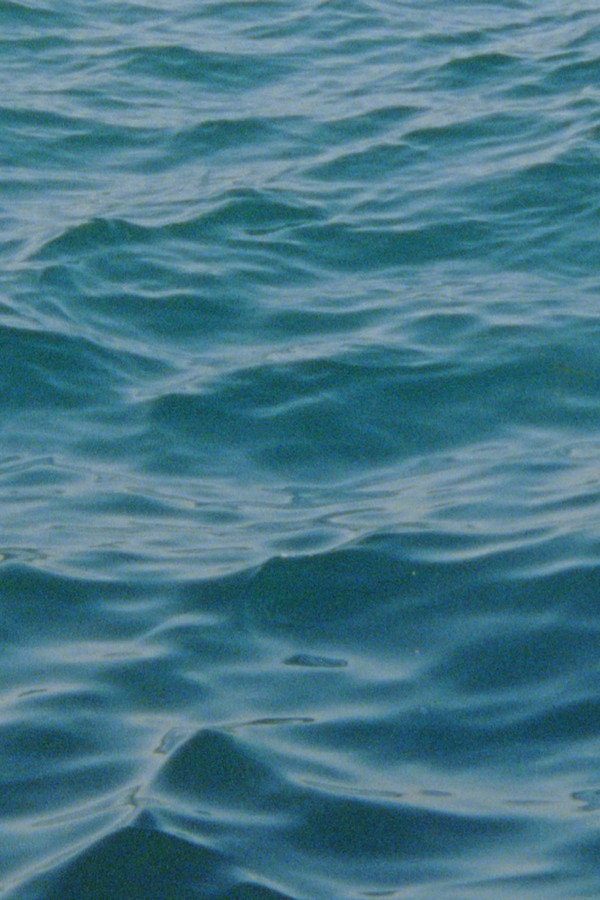 Water Diary