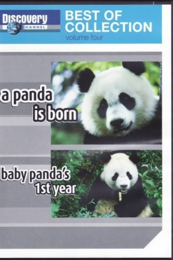 A Panda Is Born / Baby Panda’s First Year