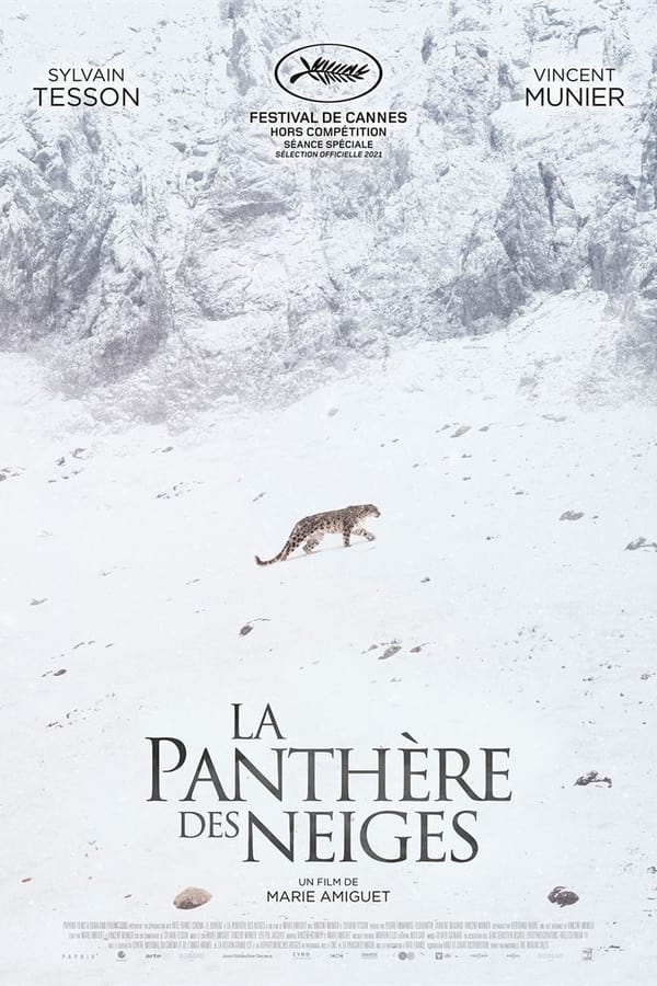 La panthère des neiges