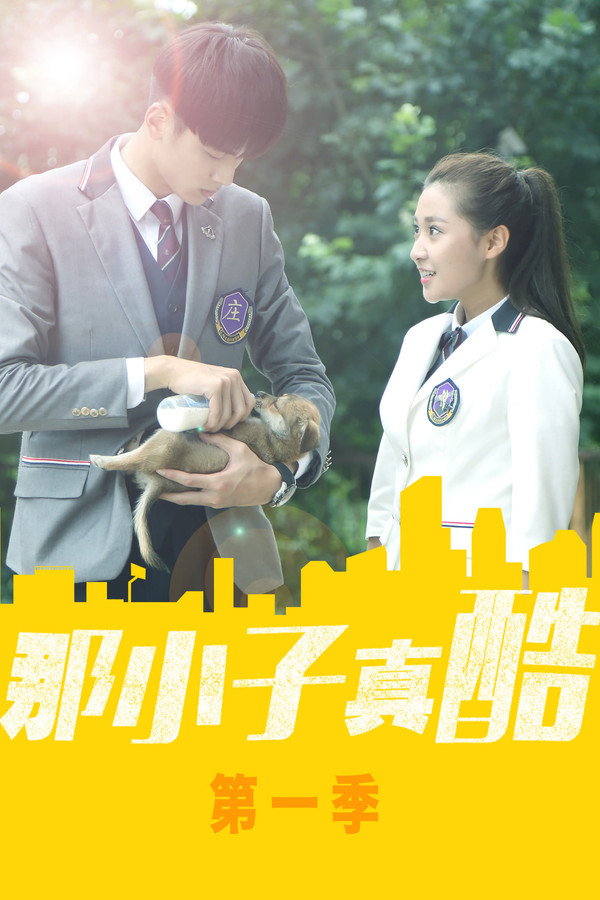 那小子真酷第1季海报