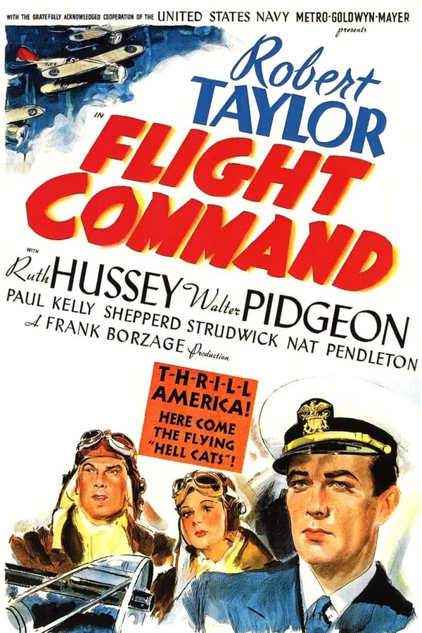 Flight Command