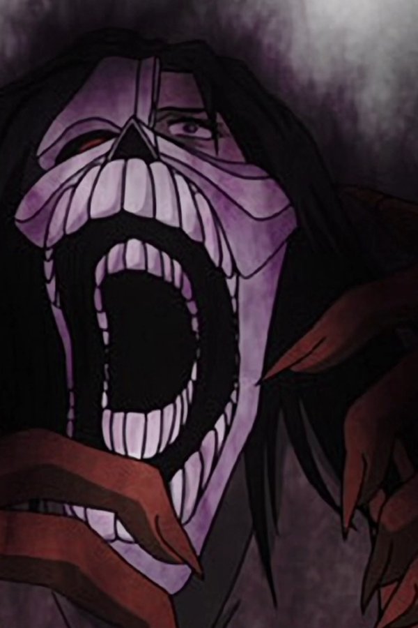 Bleach – S01E02 – Il lavoro dello Shinigami