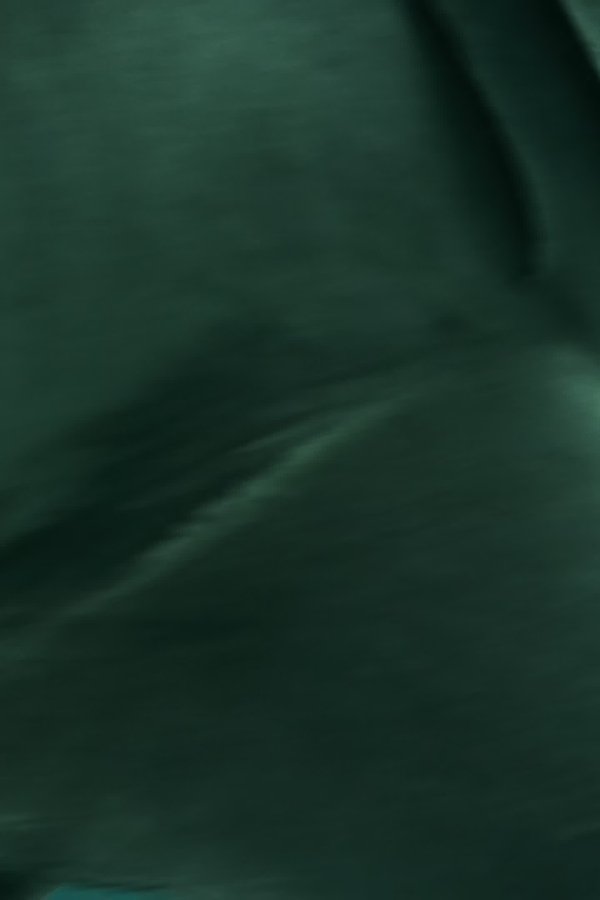 Planet Shark – S01E02 – Episodio 2