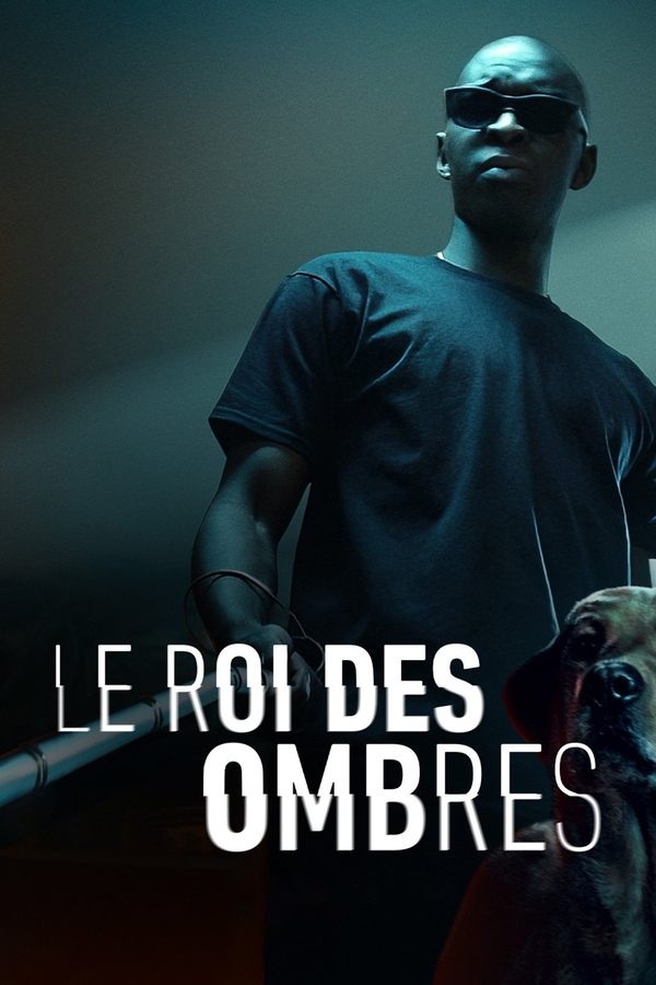 TVplus NL - Le Roi des Ombres (2023)