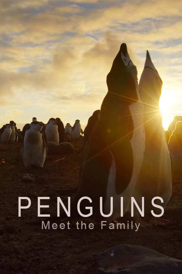 Penguins: Meet the Family