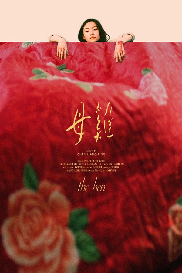 母鸡